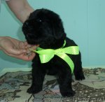 Превью фото № 90843