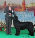 Превью фото № 90965