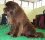 Превью фото № 90978