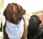 Превью фото № 90987