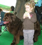 Превью фото № 90992