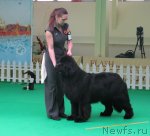 Превью фото № 91004