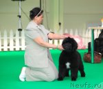 Превью фото № 91358