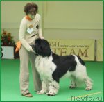 Превью фото № 91405