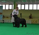 Превью фото № 91429