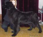 Превью фото № 9157