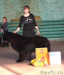 Превью фото № 91879