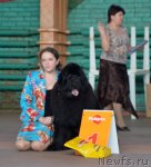 Превью фото № 91897