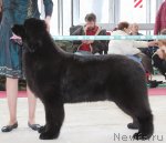 Превью фото № 91948