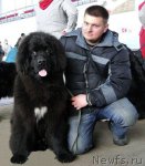 Превью фото № 91967