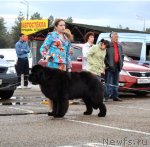 Превью фото № 92077