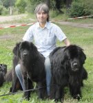 Превью фото № 92129