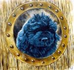 Превью фото № 9214