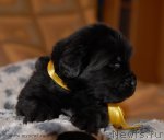 Превью фото № 92219