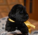 Превью фото № 92228