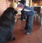 Превью фото № 92527