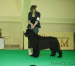 Превью фото № 92565