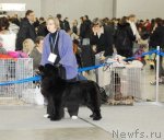 Превью фото № 92862