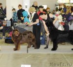 Превью фото № 92869