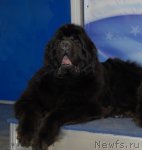 Превью фото № 92888