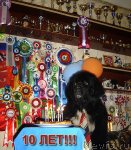 Превью фото № 93170