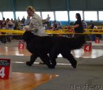 Превью фото № 93215