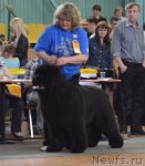 Превью фото № 93216