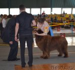 Превью фото № 93222