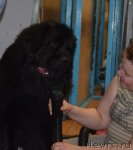 Превью фото № 93234