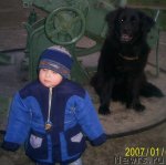 Превью фото № 93344