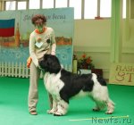 Превью фото № 93607