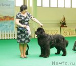 Превью фото № 93625