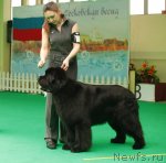 Превью фото № 93645