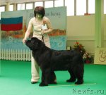 Превью фото № 93761