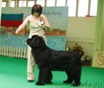 Превью фото № 93762