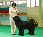 Превью фото № 93763