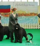 Превью фото № 93784