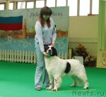 Превью фото № 93813