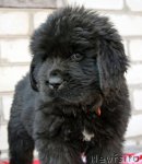 Превью фото № 94158