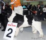 Превью фото № 9432