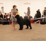 Превью фото № 94402