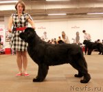 Превью фото № 94405