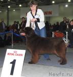 Превью фото № 9443