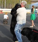 Превью фото № 94480