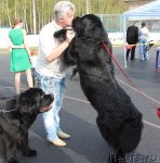 Превью фото № 94481