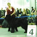 Превью фото № 9467