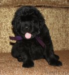 Превью фото № 94678