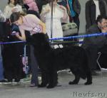 Превью фото № 9478