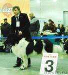 Превью фото № 9480