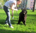 Превью фото № 94864